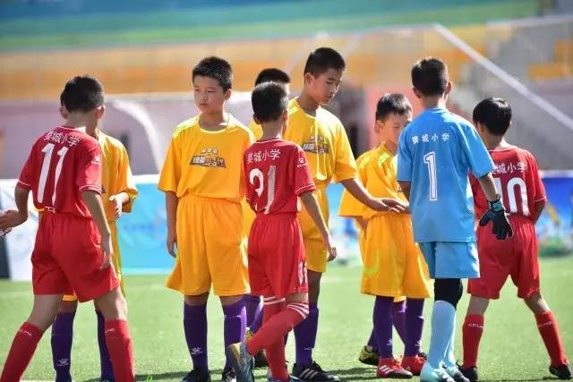 以球为媒促文体旅融合 200余名匹克球好手上演精彩对决